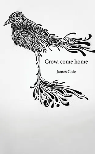 cover of Crow Come Home